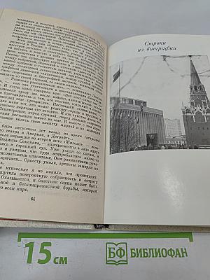 Строки из биографии. Очерки о молодом современнике
