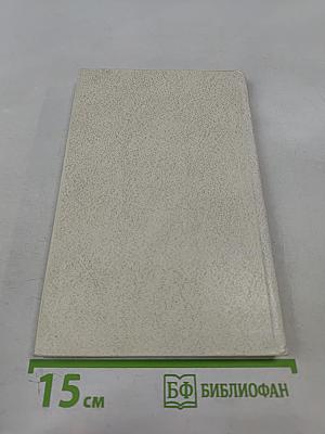 Строки из биографии. Очерки о молодом современнике