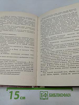 Дикая полынь