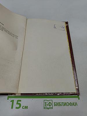 Дикая полынь