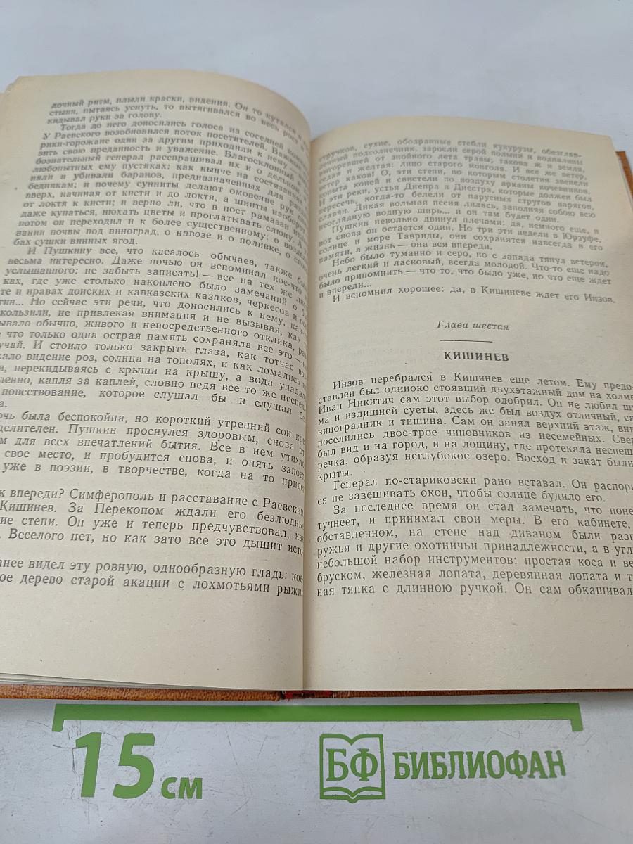 Пушкин на юге