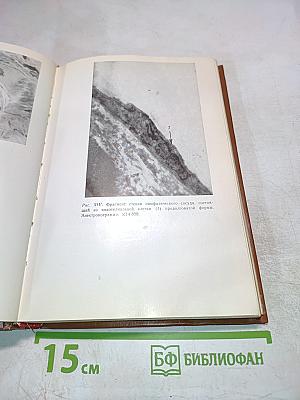 Электропунктурная рефлексотерапия