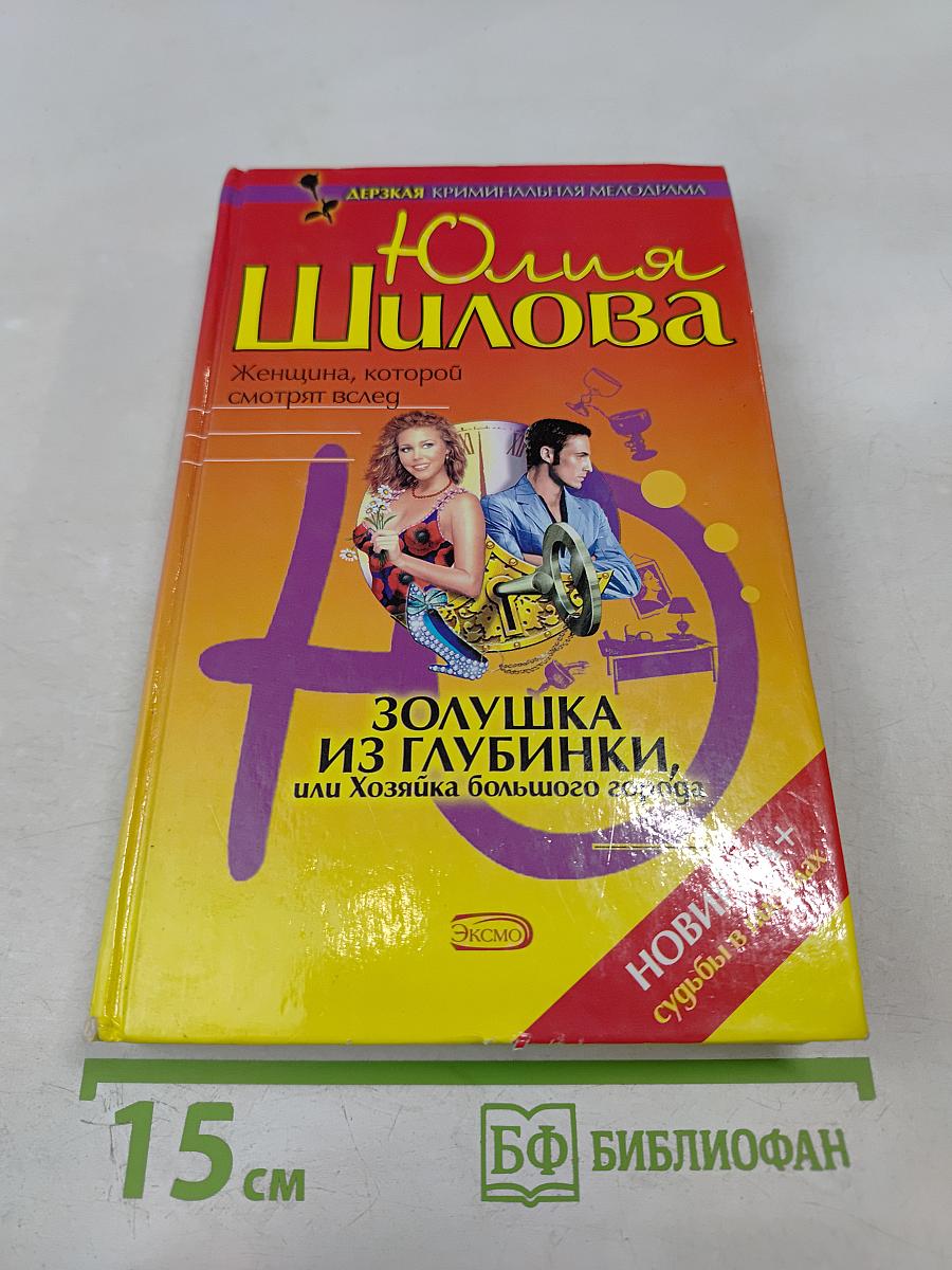 Золушка из глубинки, или Хозяйка большого города