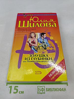 Золушка из глубинки, или Хозяйка большого города