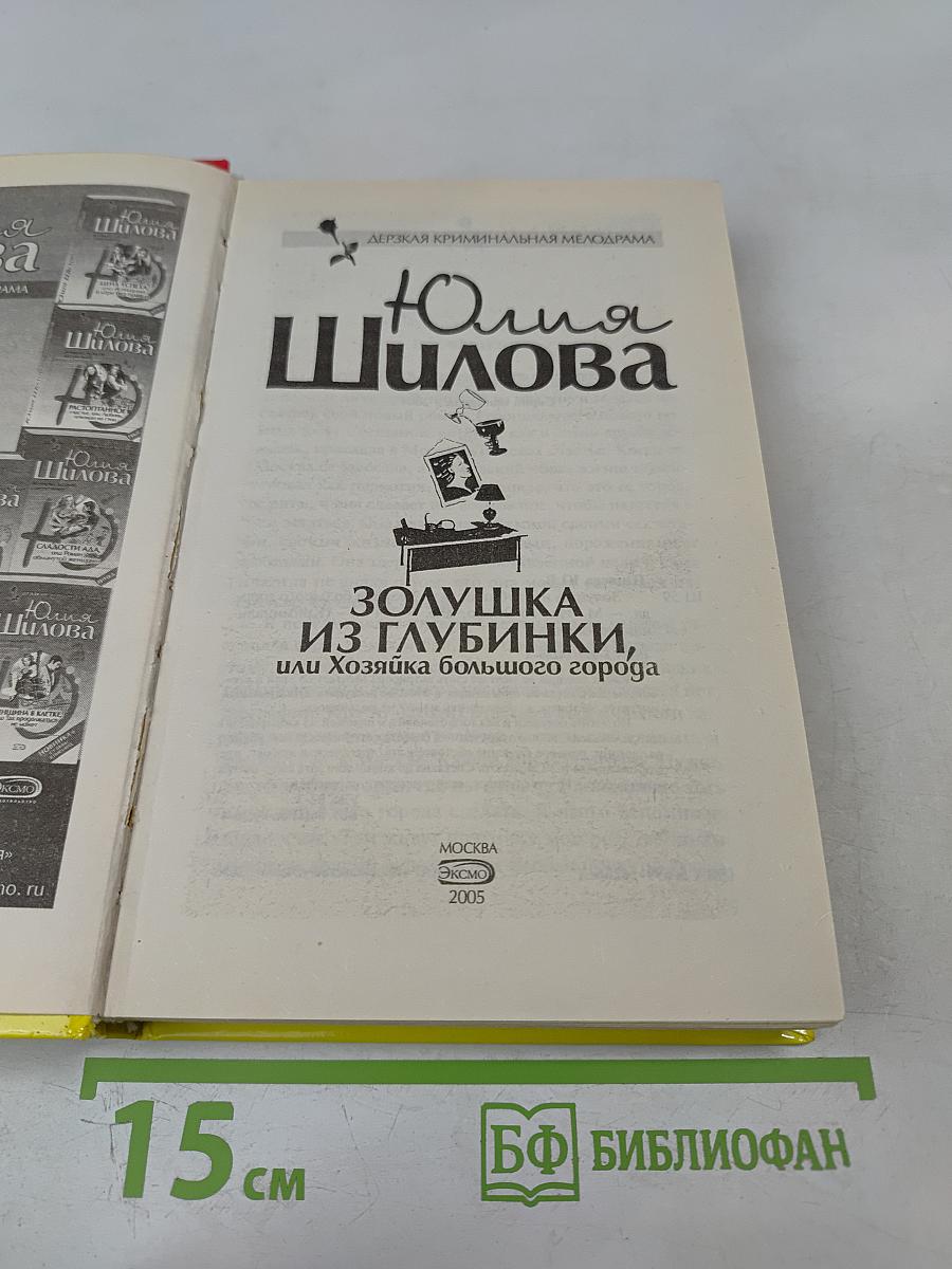 Золушка из глубинки, или Хозяйка большого города