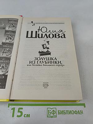 Золушка из глубинки, или Хозяйка большого города
