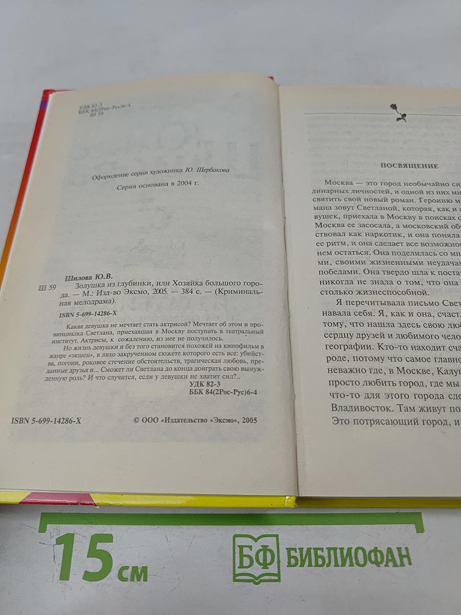 Золушка из глубинки, или Хозяйка большого города