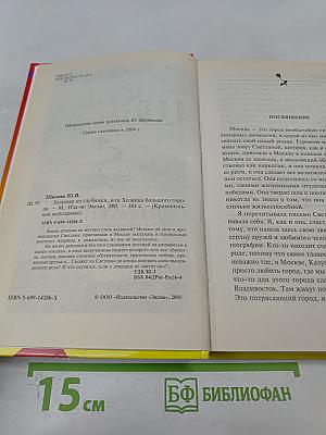 Золушка из глубинки, или Хозяйка большого города