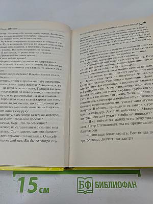 Золушка из глубинки, или Хозяйка большого города