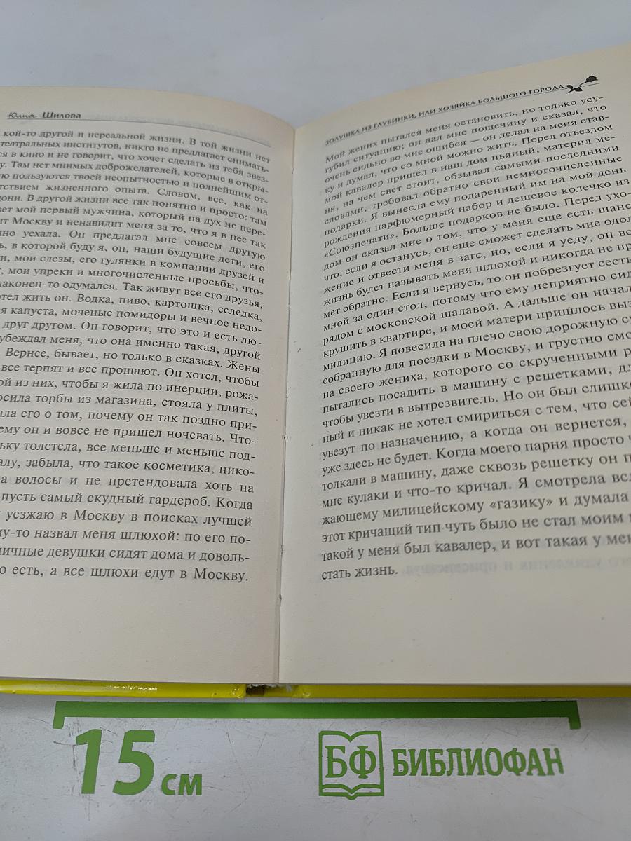 Золушка из глубинки, или Хозяйка большого города