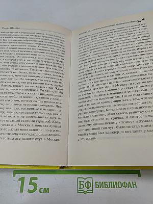 Золушка из глубинки, или Хозяйка большого города