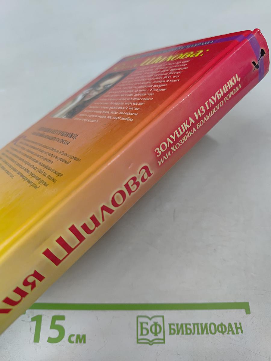 Золушка из глубинки, или Хозяйка большого города