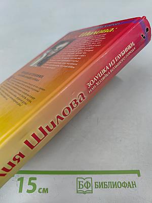 Золушка из глубинки, или Хозяйка большого города