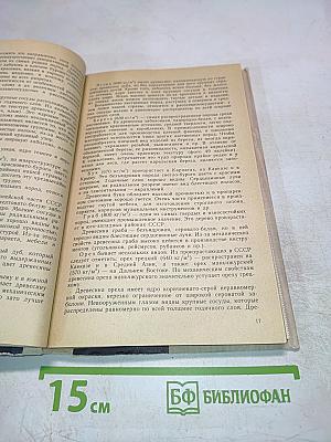 Обработка древесины в школьных мастерских