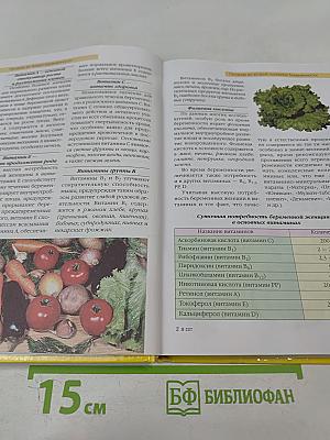 Питание детей от рождения до 3 лет. Практические советы родителям