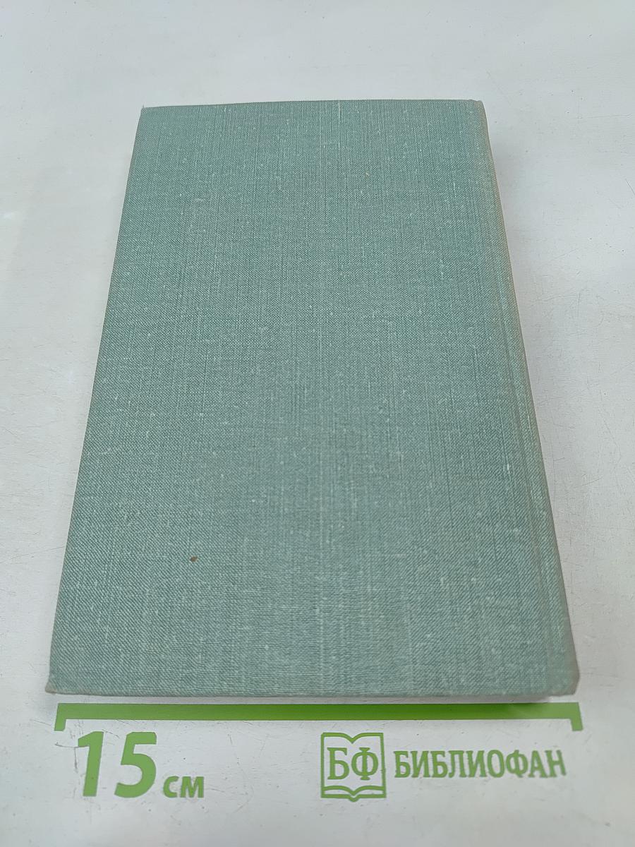 Строитель нового мира