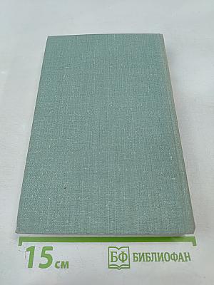 Строитель нового мира