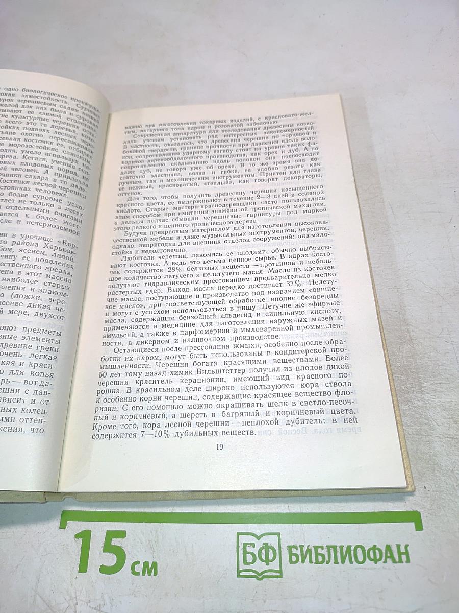 Лесные плодовые растения