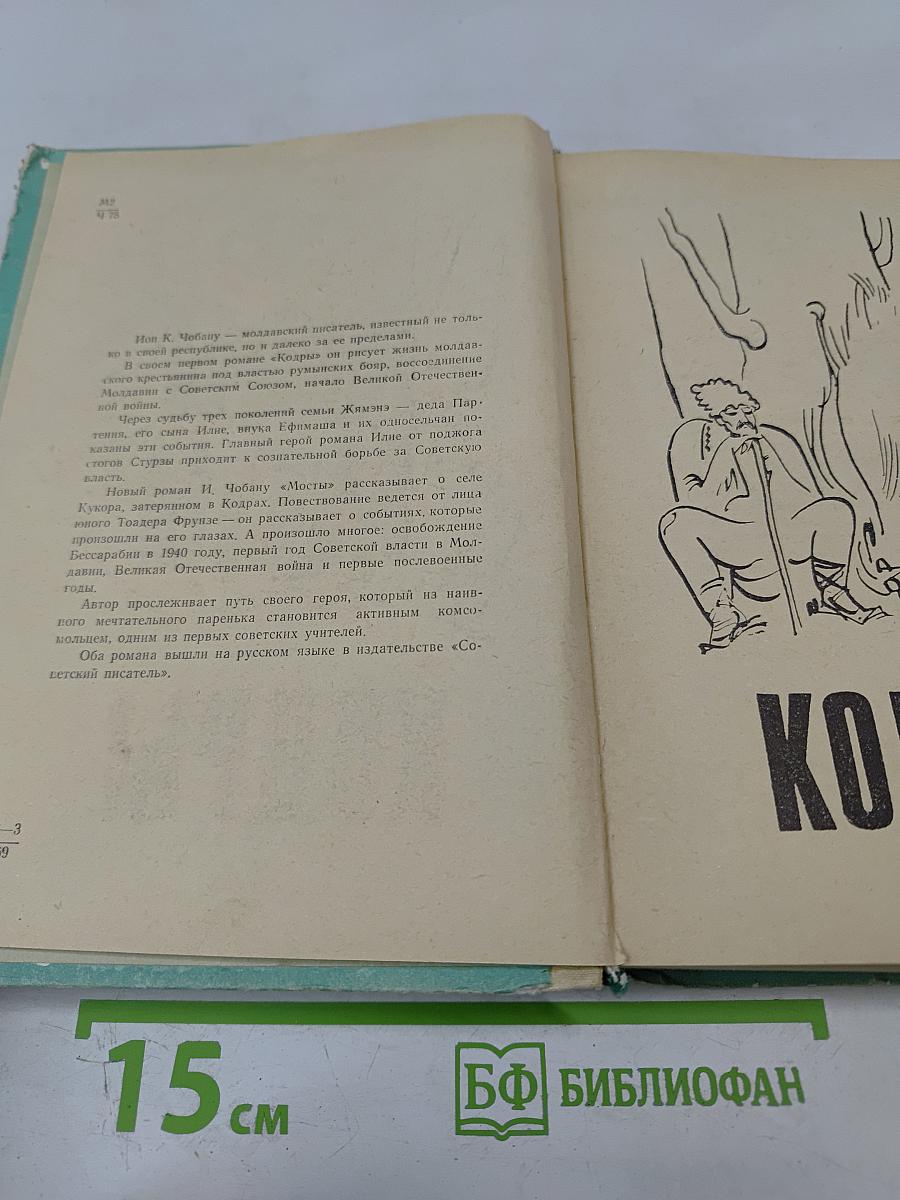 Кодры Мосты