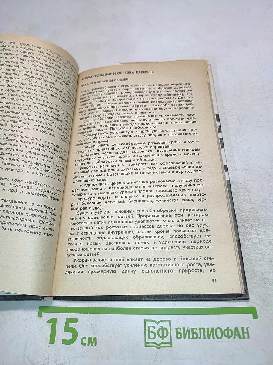 Косточковые культуры