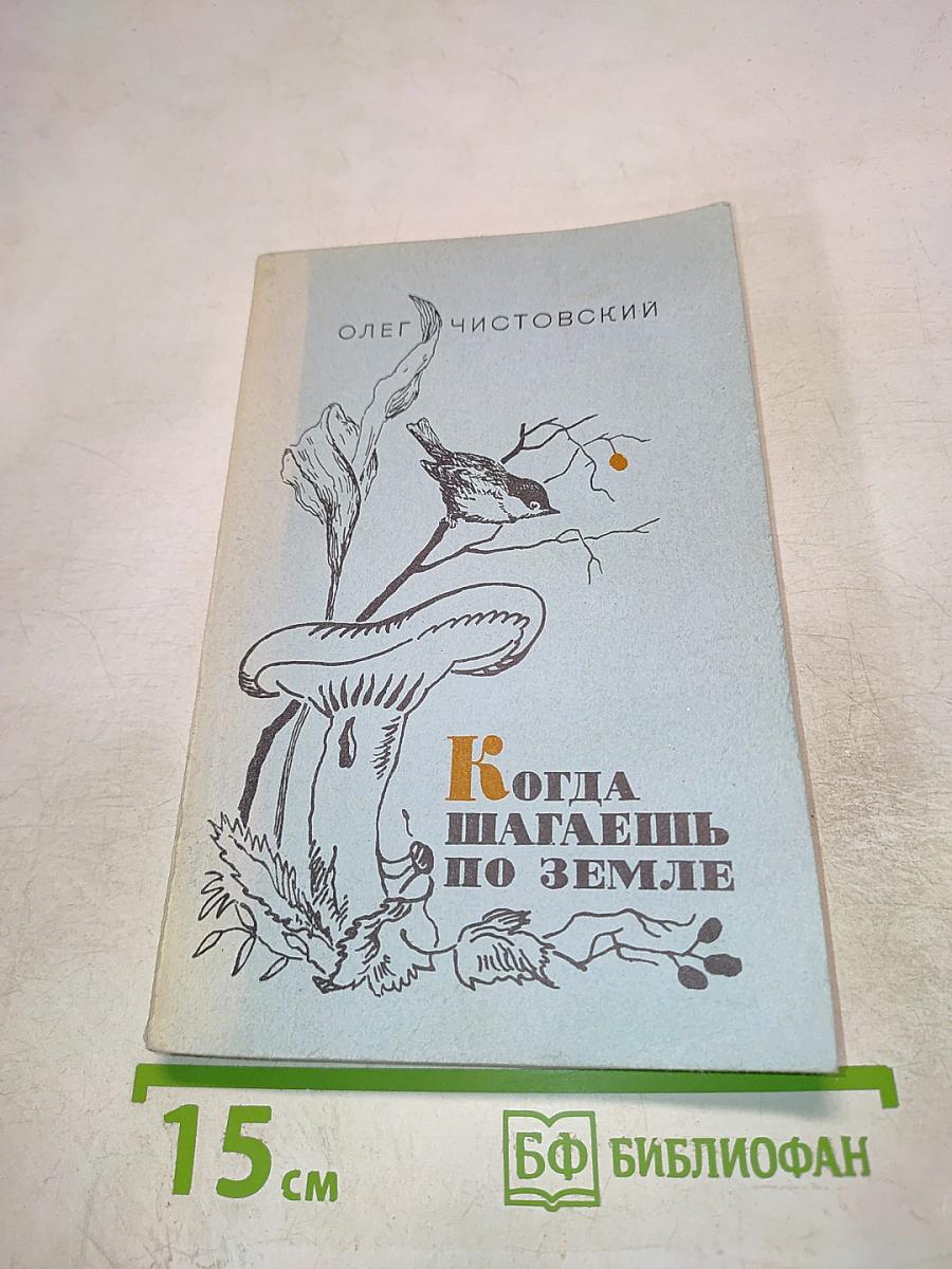 Когда шагаешь по земле