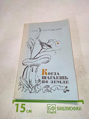 Когда шагаешь по земле