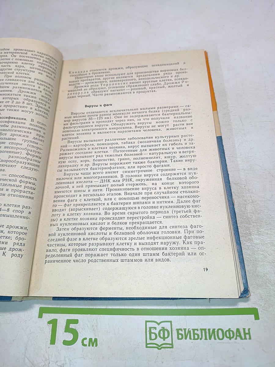 Основы микробиологии, санитарии и гигиены в пищевой промышленности