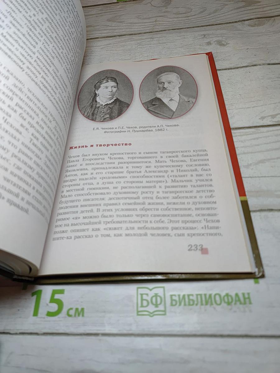 Литература. 10 класс. Часть II. Базовый и углубленный уровни