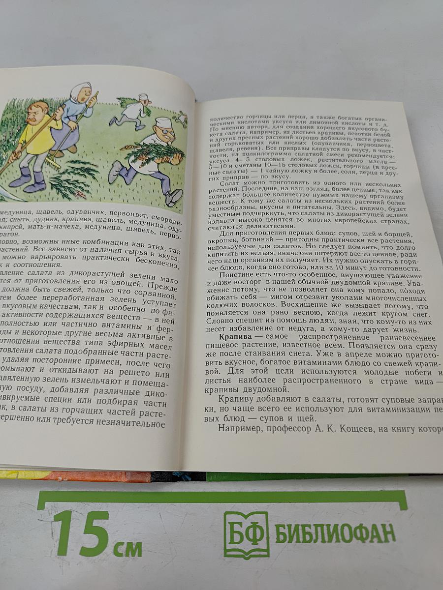 Лесной огород