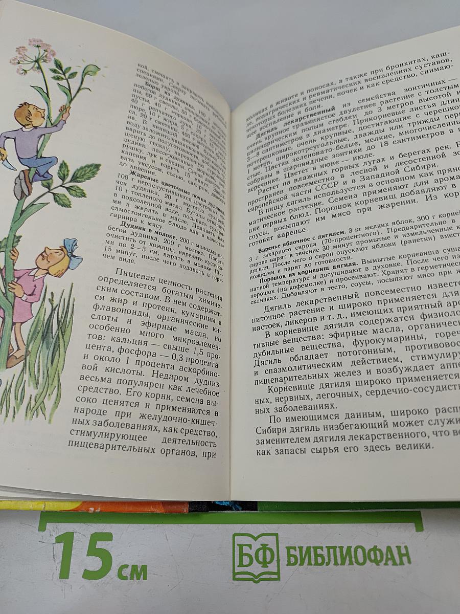 Лесной огород