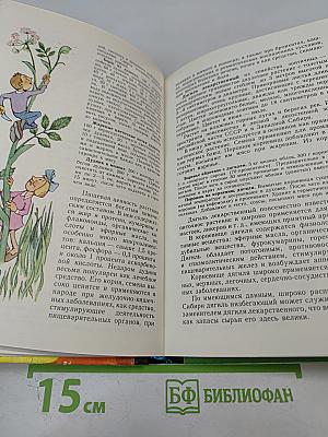 Лесной огород