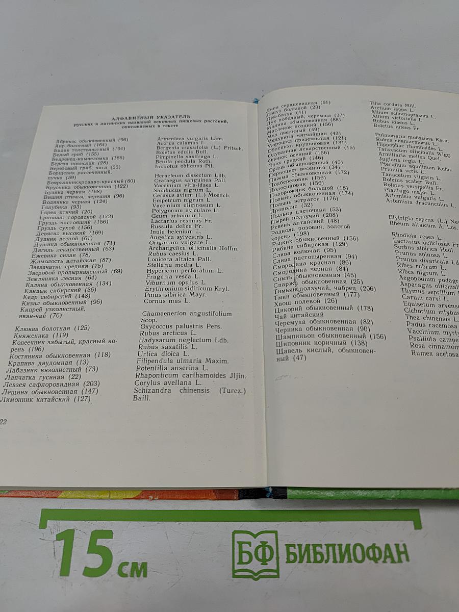 Лесной огород