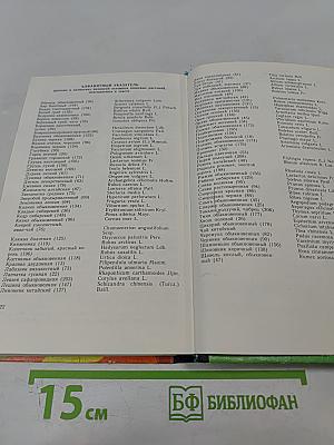 Лесной огород