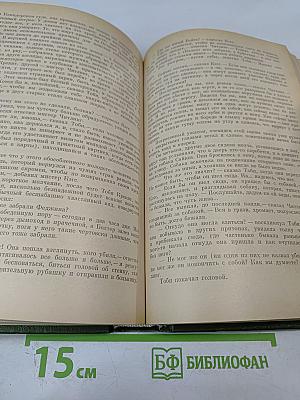 Собрание сочинений. Том второй: Приключения Оливера Твиста, Жизнь и приключения Николаса Никлби (Главы I-XV)