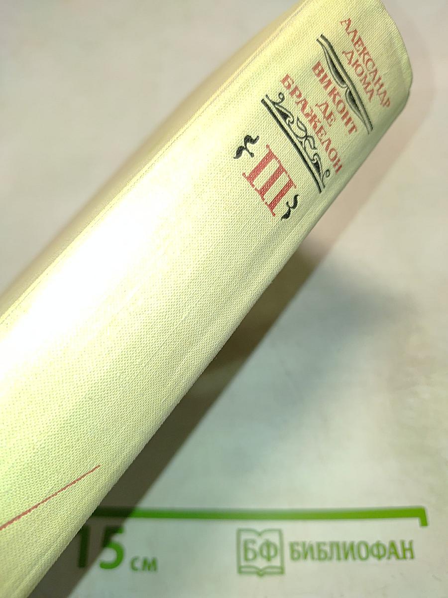 Виконт де Бражелон, или Десять лет спустя. Части 5, 6. Том III