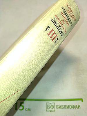 Виконт де Бражелон, или Десять лет спустя. Части 5, 6. Том III