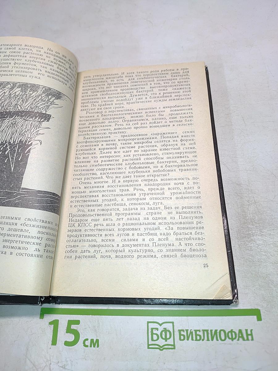 Биотехнология: что это такое?