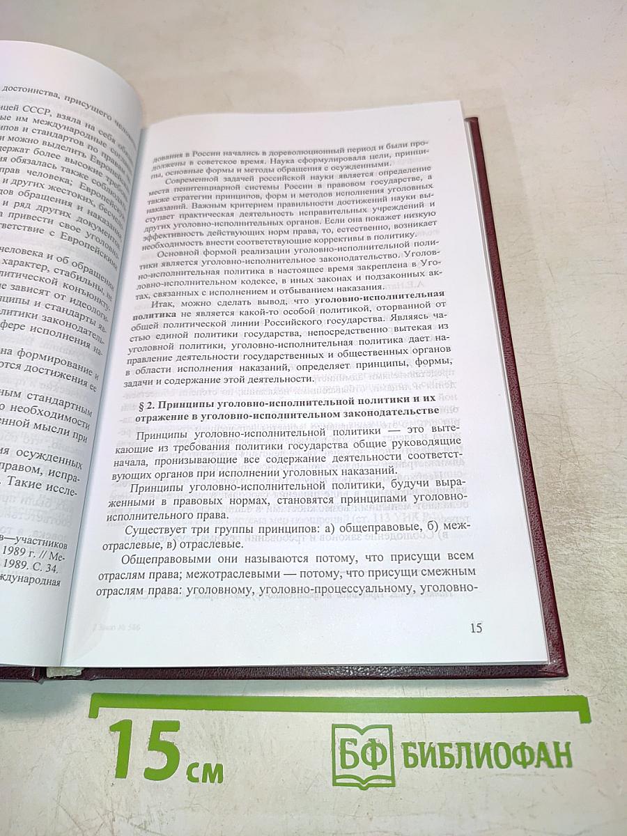 Уголовно-исполнительное право. Курс лекций