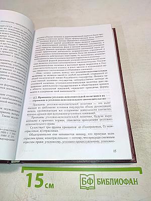 Уголовно-исполнительное право. Курс лекций