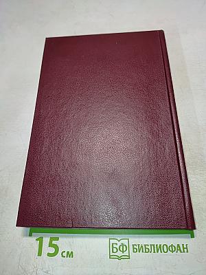 Уголовно-исполнительное право. Курс лекций