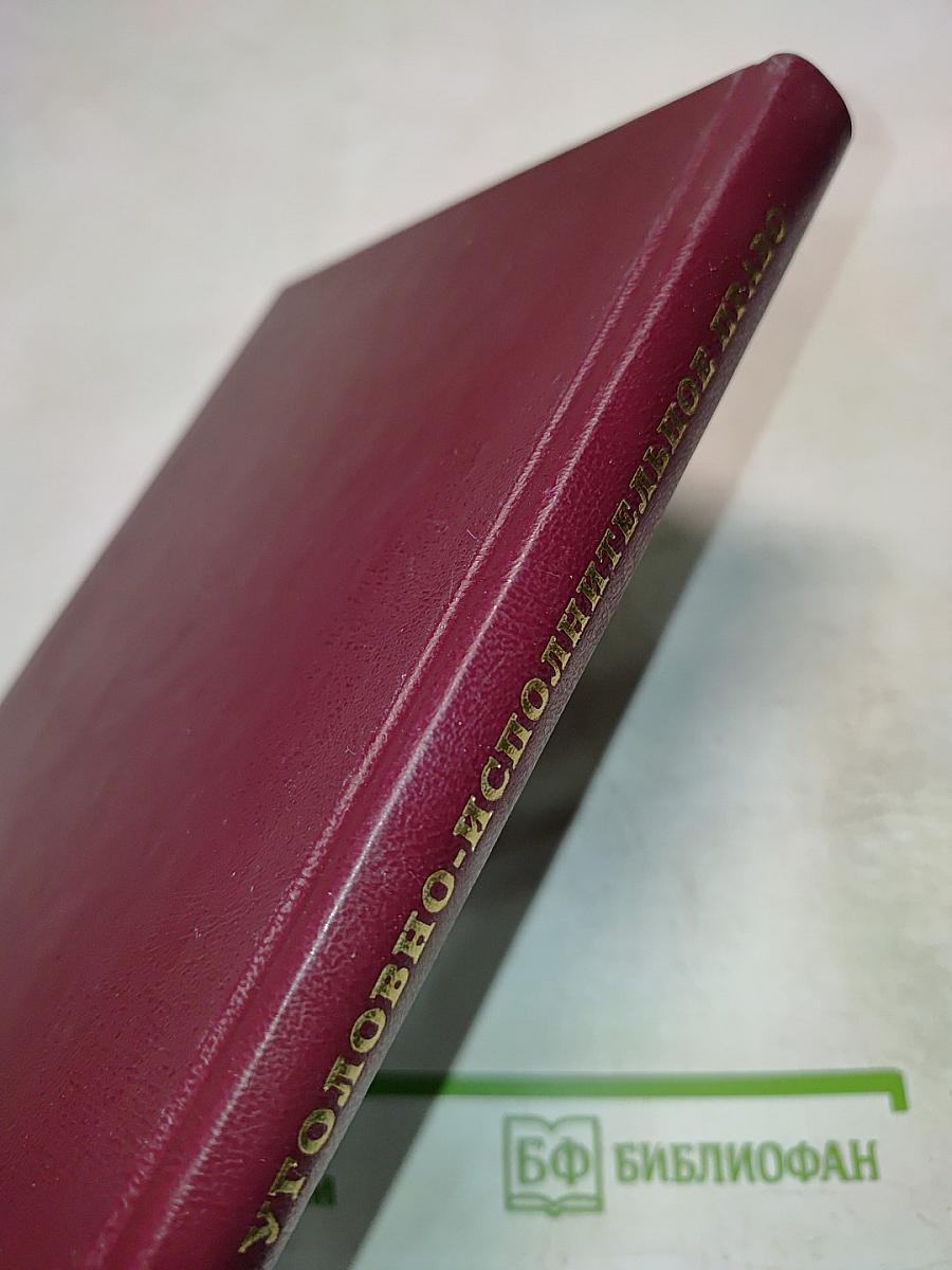 Уголовно-исполнительное право. Курс лекций