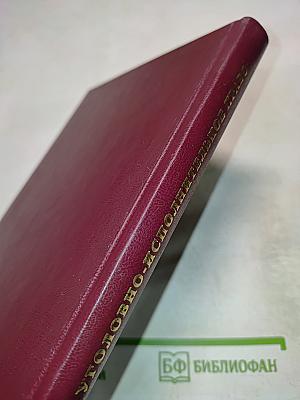 Уголовно-исполнительное право. Курс лекций