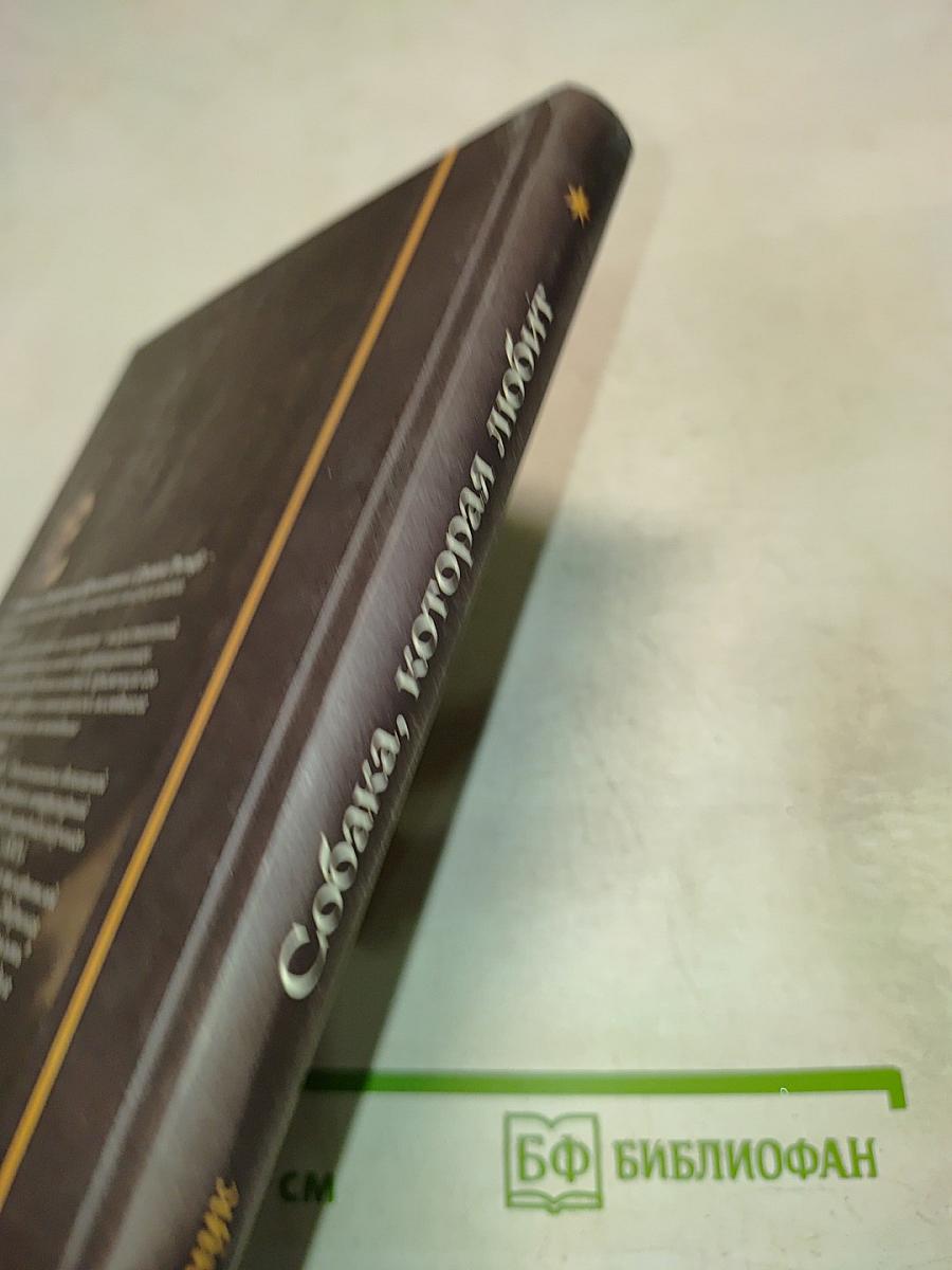 Собака, которая любит