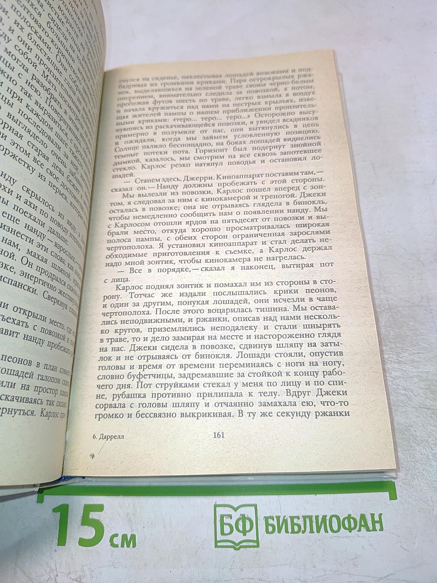 Под пологом пьяного леса