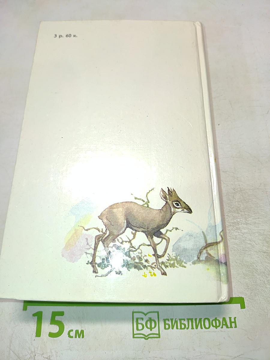 Под пологом пьяного леса