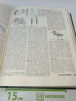 Биологический энциклопедический словарь