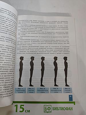 Физическая культура 10-11 классы