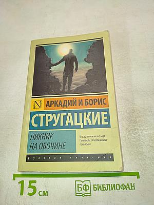 Пикник на обочине