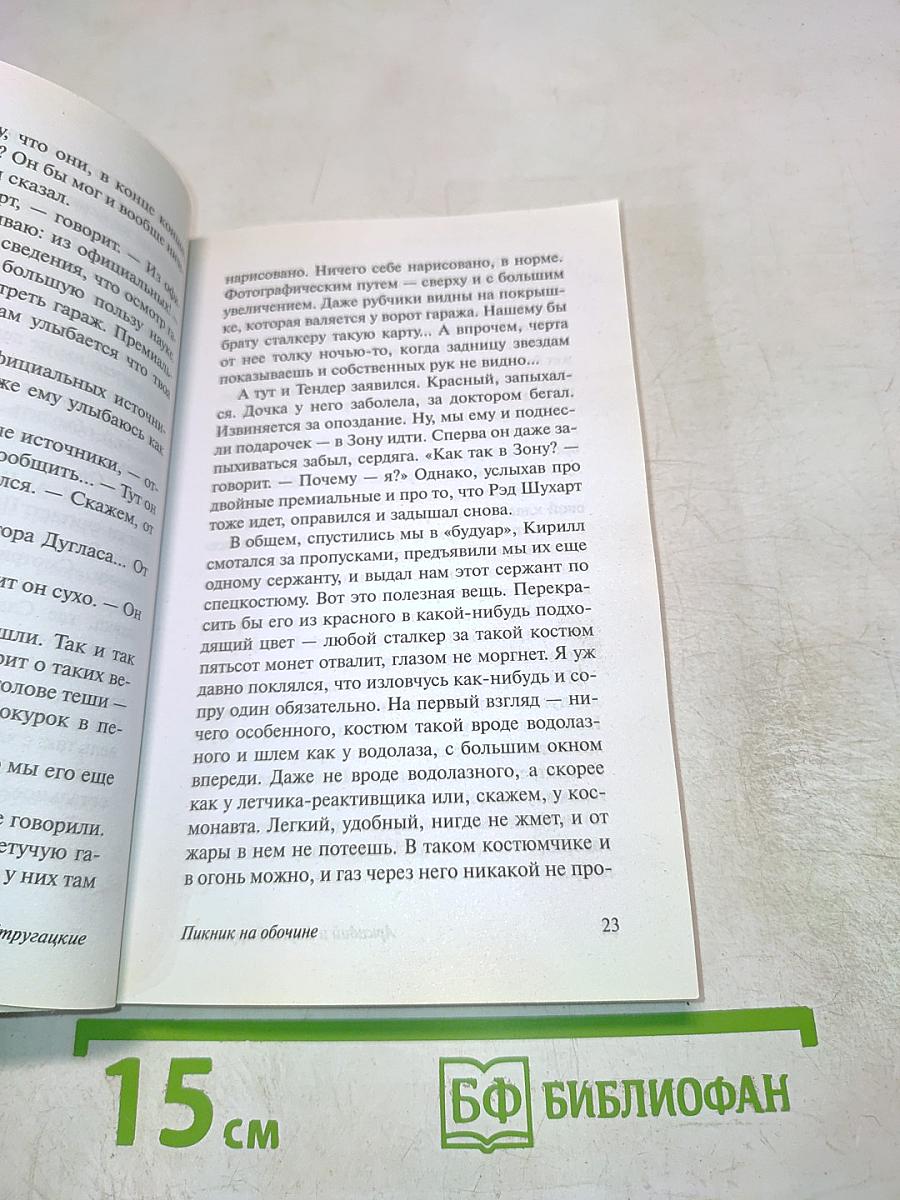 Пикник на обочине