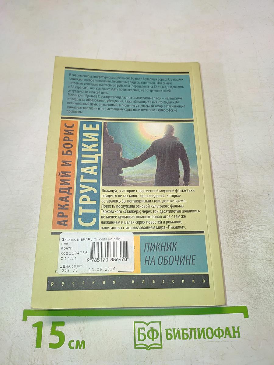 Пикник на обочине